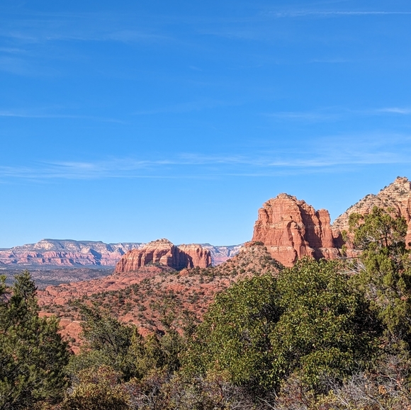 Bee's live show listing! Bee gets you ran FAST 💪 🐝 - Picture 5 of 9